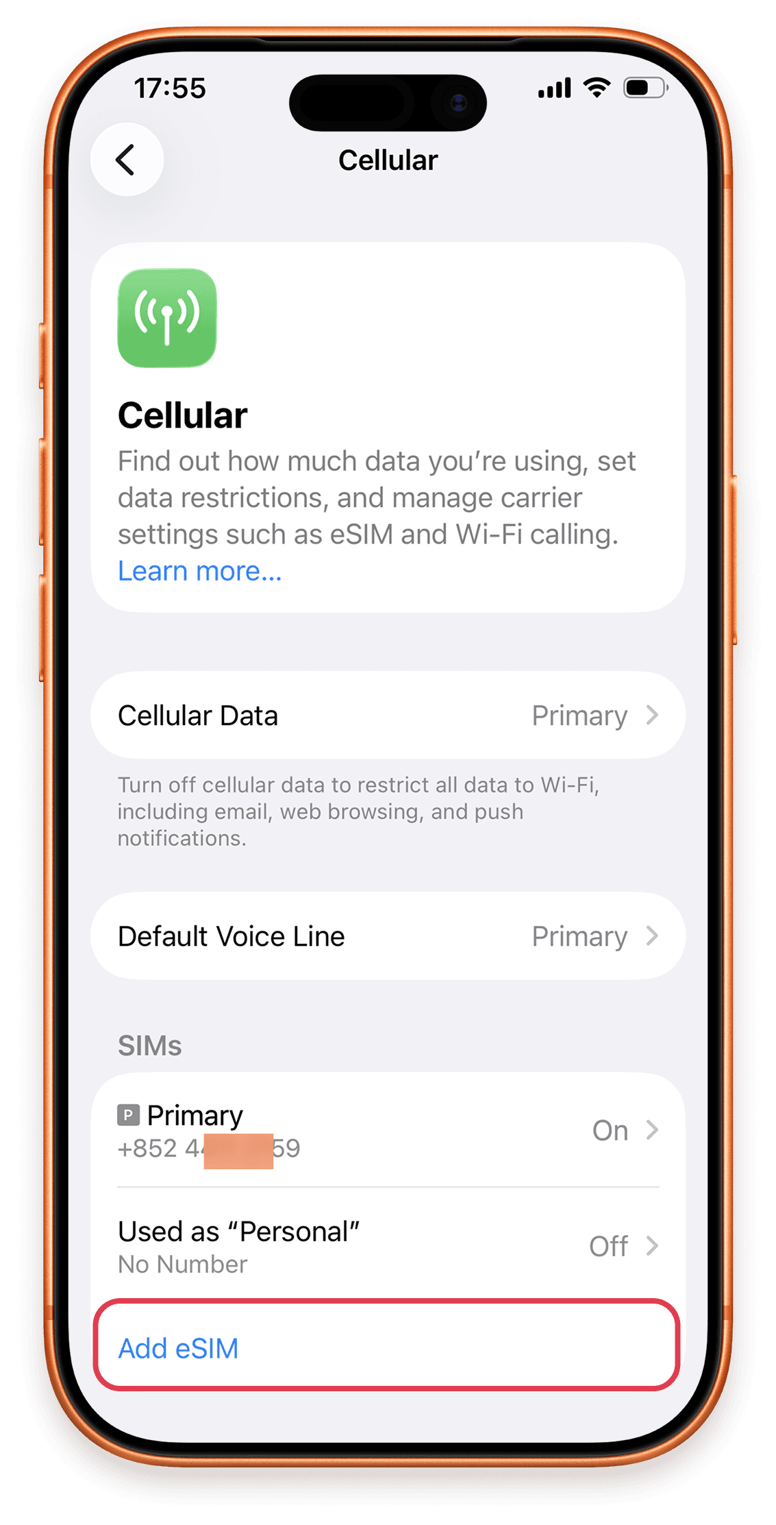 Install & Activate Steps 2: In Settings, open Cellular and tap Add eSIM.